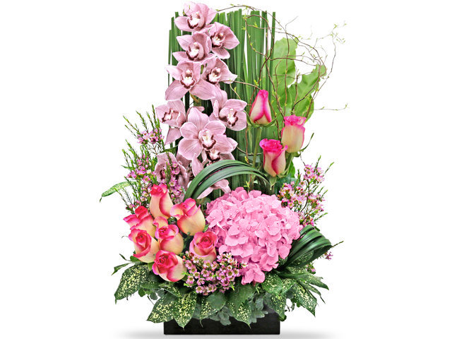 Florist Flower Arrangement - Red Cymbidium Florist Deco B6 - L76605327 Photo