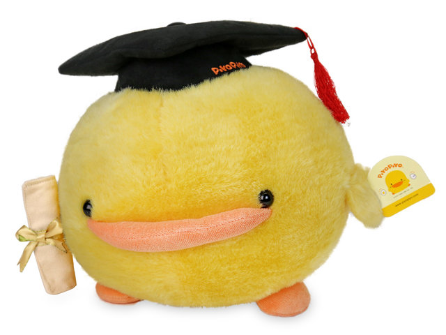 Florist Gift - Piyo Piyo Graduation Toy 10