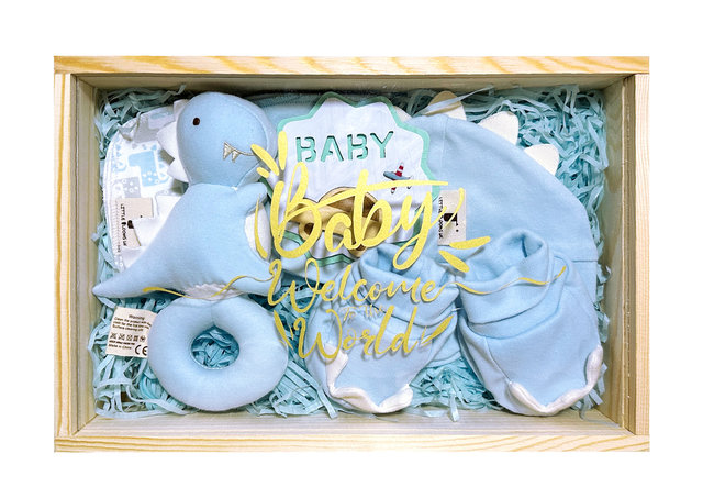 New Born Baby Gift - new born Baby mailable gift nb04 - BM1030A2 Photo